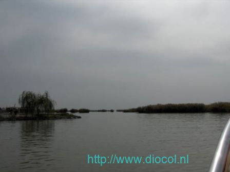 Yinchuan wetlands